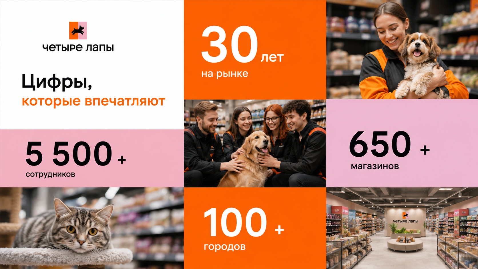 Медиа 1